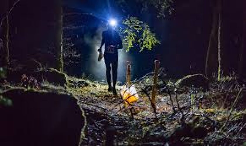 Natt-OL